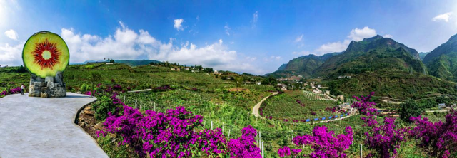 六盤水市水城區:"五型"村居固成果 鄉村振興開新局