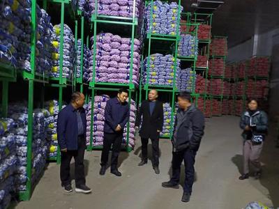 祥符區(qū)仇樓鎮(zhèn):&ldquo;小蒜頭&rdquo;帶動富民&ldquo;大產(chǎn)業(yè)&rdquo;