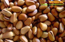 大量批發(fā)堅(jiān)果炒貨特級東北野生松子、開口松子原味松子(大顆粒)_松子_干果炒貨_產(chǎn)品庫_口口可休閑食品網(wǎng)_中國休閑食品貿(mào)易網(wǎng)站_中國休閑食品供應(yīng)商首選電子商務(wù)網(wǎng)站